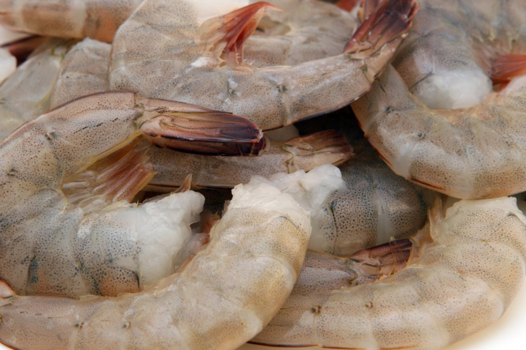 Seafood
