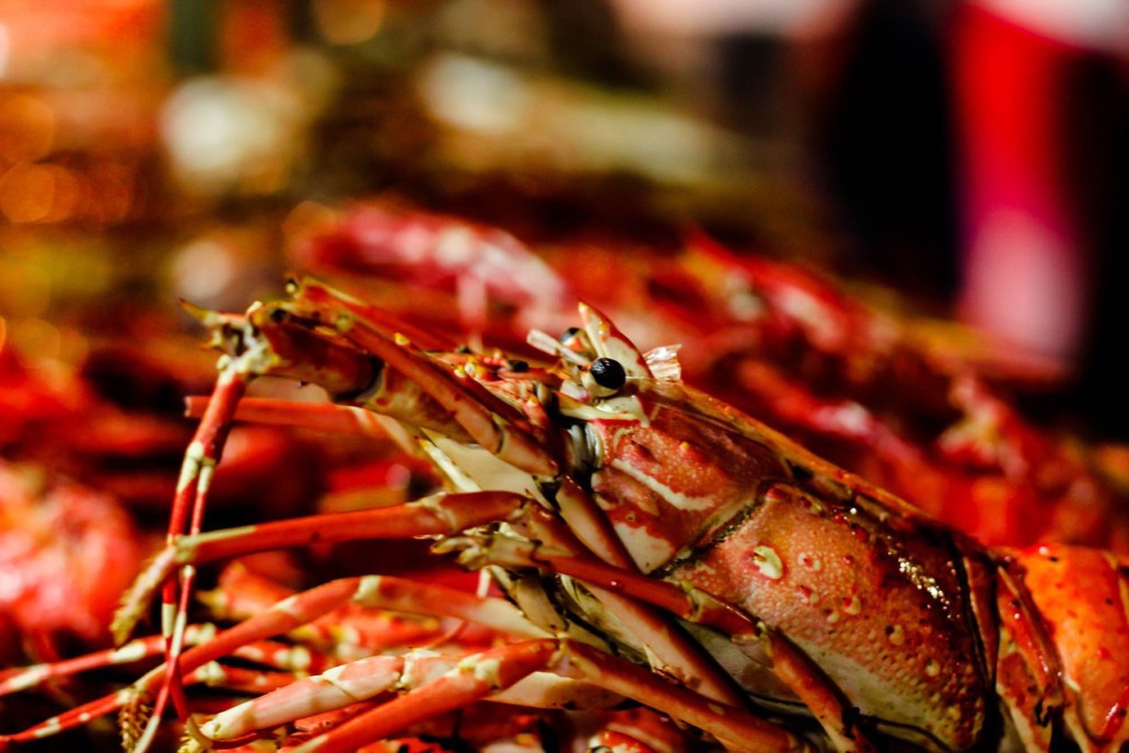 Seafood