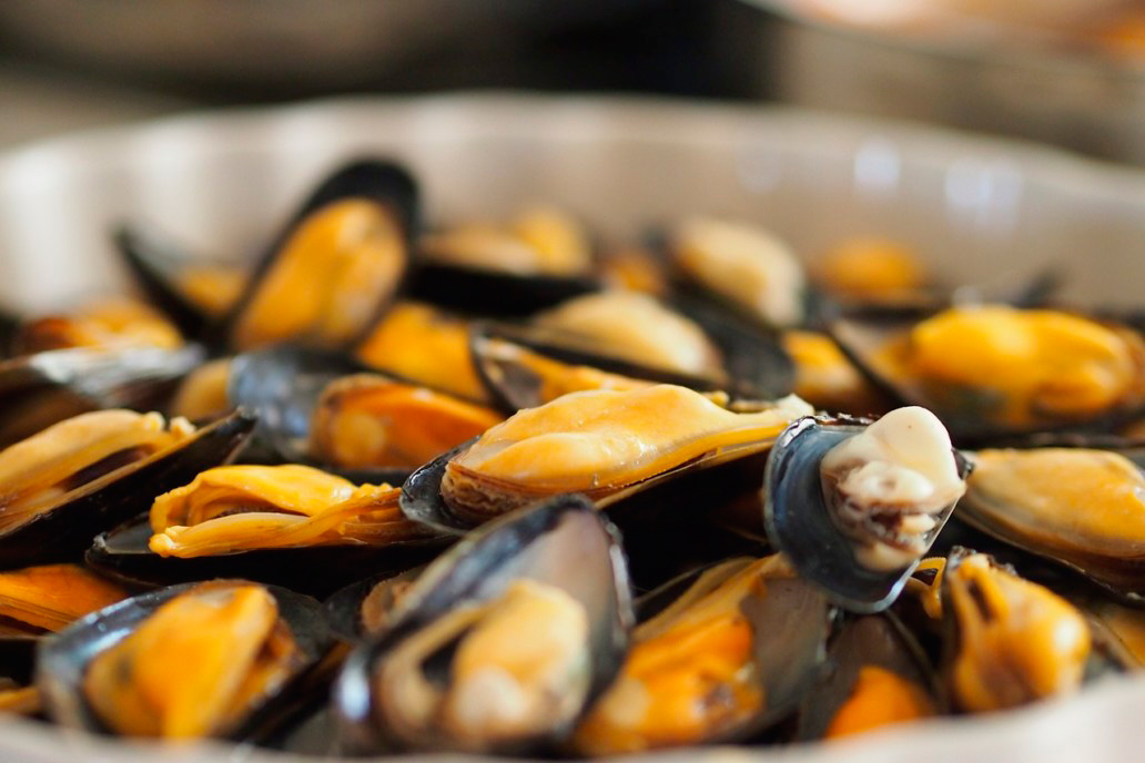 Seafood